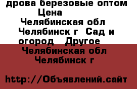 дрова березовые оптом › Цена ­ 30 000 - Челябинская обл., Челябинск г. Сад и огород » Другое   . Челябинская обл.,Челябинск г.